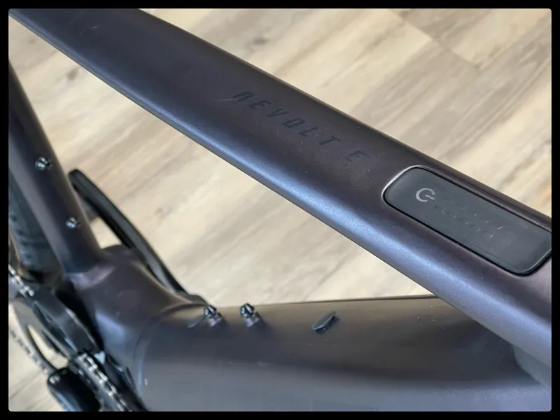 Giant Revolt E+ Pro XR 25km/h Medium Rosewood 2021-2